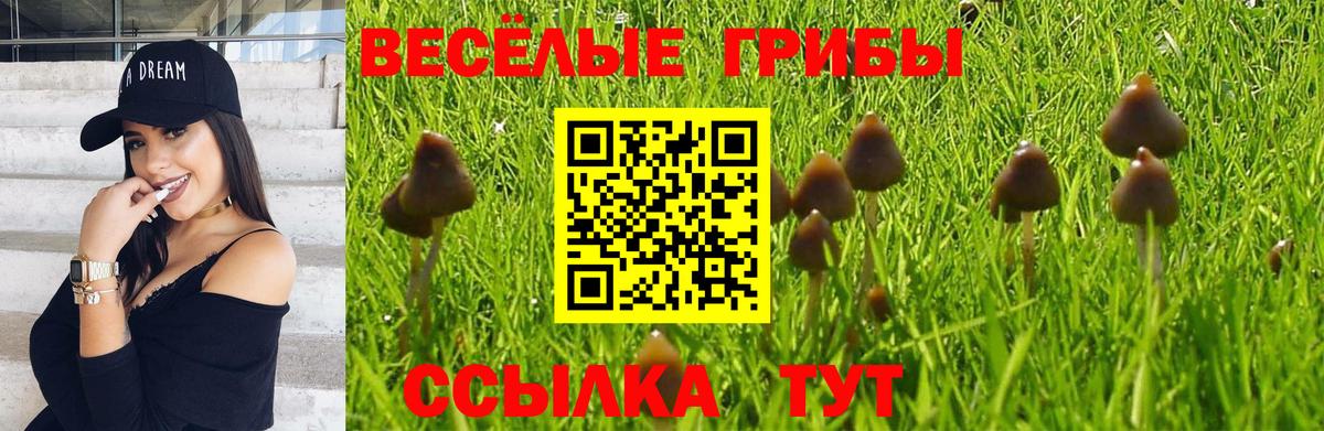 Галлюциногенные грибы мицелий  Вход с VPN  продажа наркотиков  Менделеевск 
